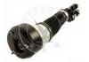 Amortiguador Shock Absorber:2213204913